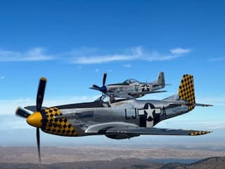P-51 Mustang - side view