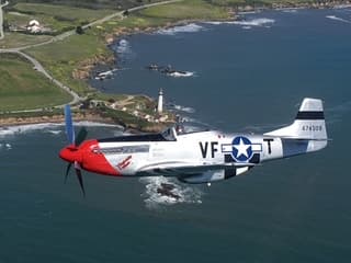 P-51 Mustang - detail