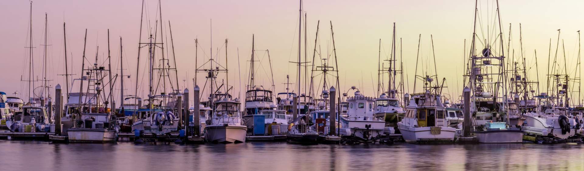 Discover Pillar Point Harbor: Coastal Eats, Craft Drinks & Hidden Gems