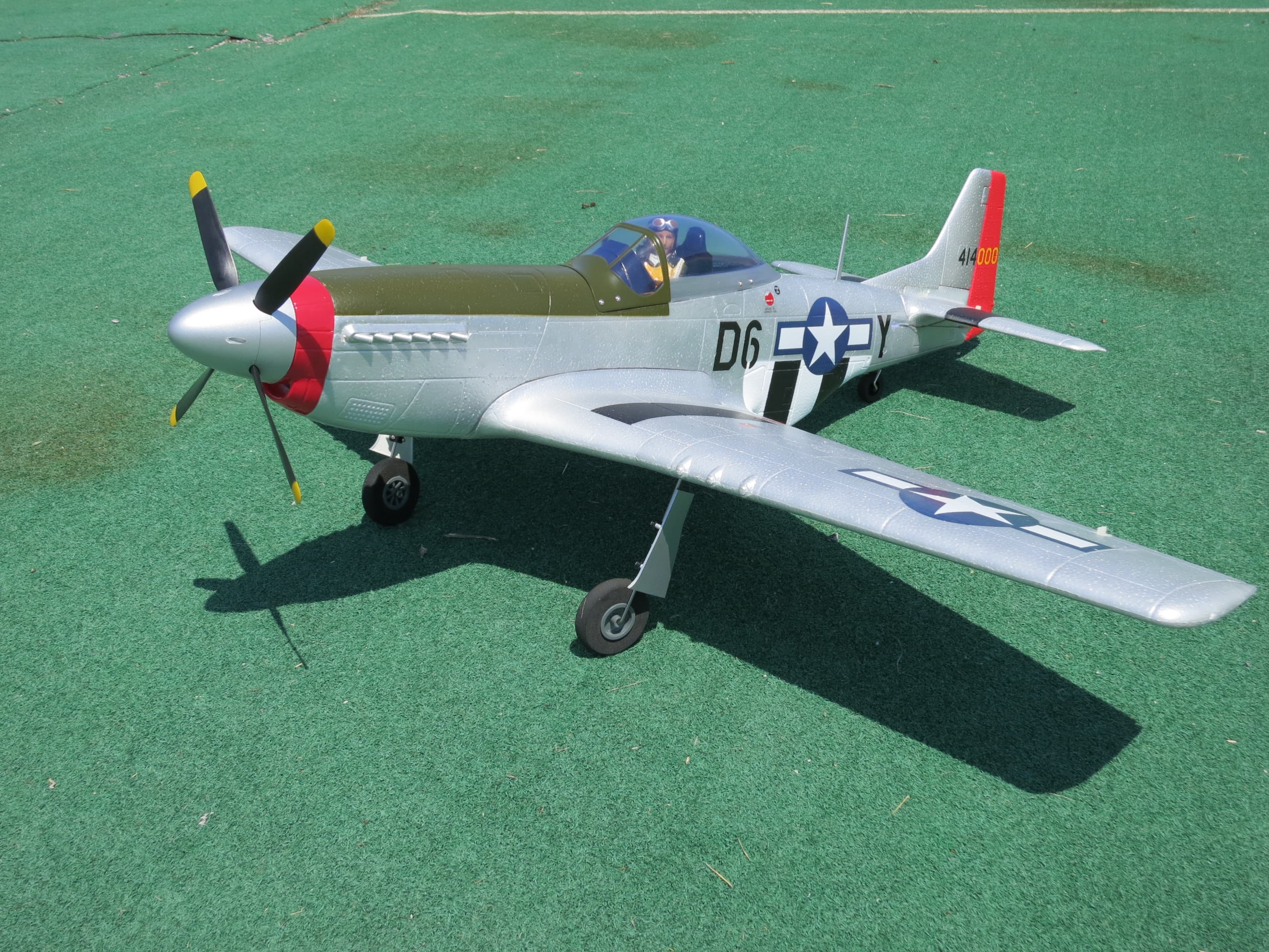 P-51 Mustang Warbird